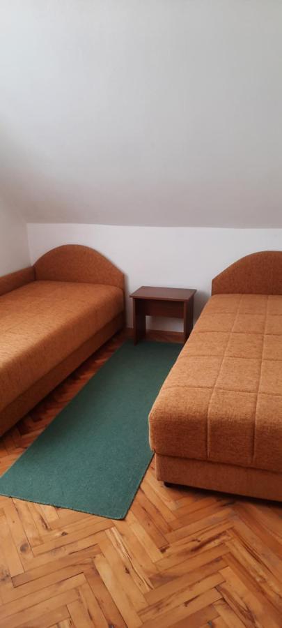 Privatni Smestaj Nanica Mataruska Banja Extérieur photo