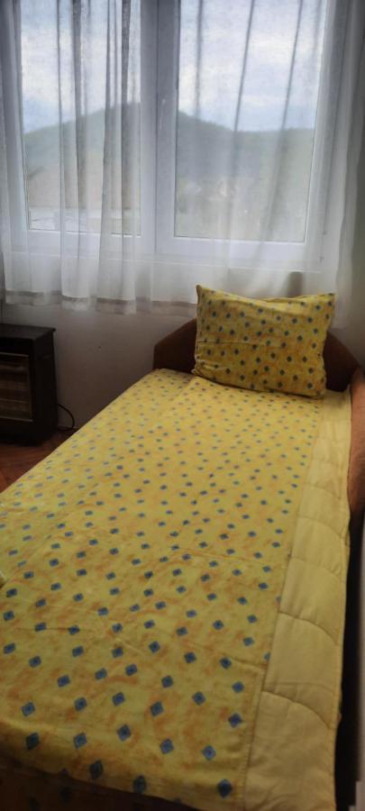 Privatni Smestaj Nanica Mataruska Banja Extérieur photo