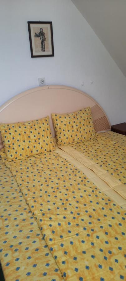 Privatni Smestaj Nanica Mataruska Banja Extérieur photo