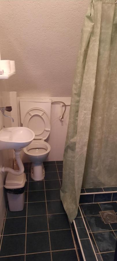 Privatni Smestaj Nanica Mataruska Banja Extérieur photo